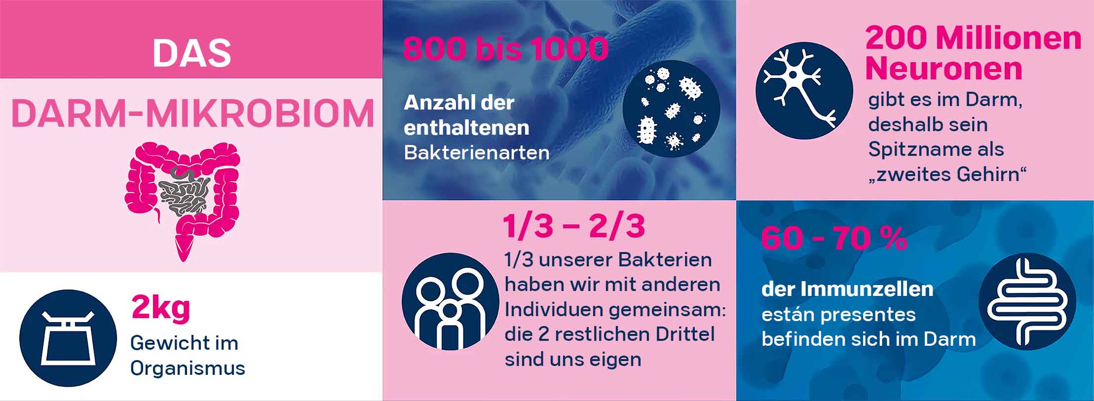 Das Darm-Mikrobiom in Zahlen