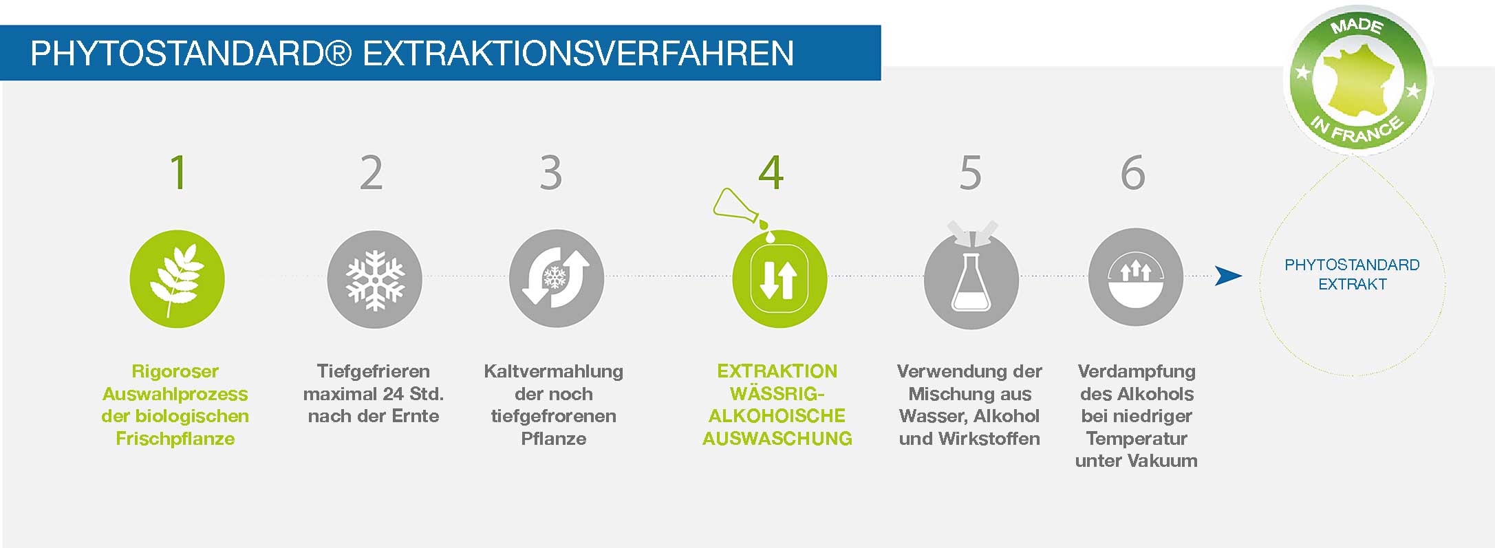 Ein einzigartiges Verfahren zur Extraktion der pflanzlichen Wirkstoffe